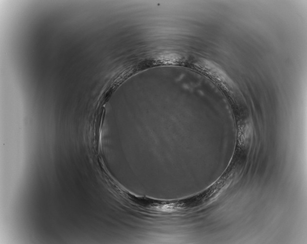 X0000096410365200801311357