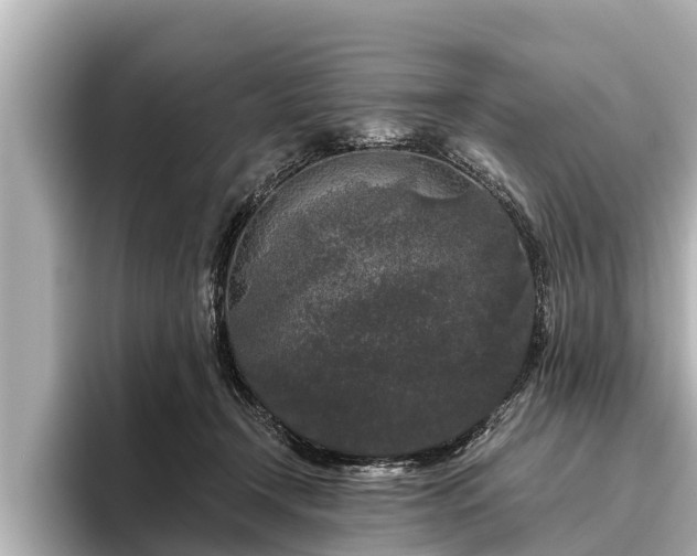 X0000096410366200801311357