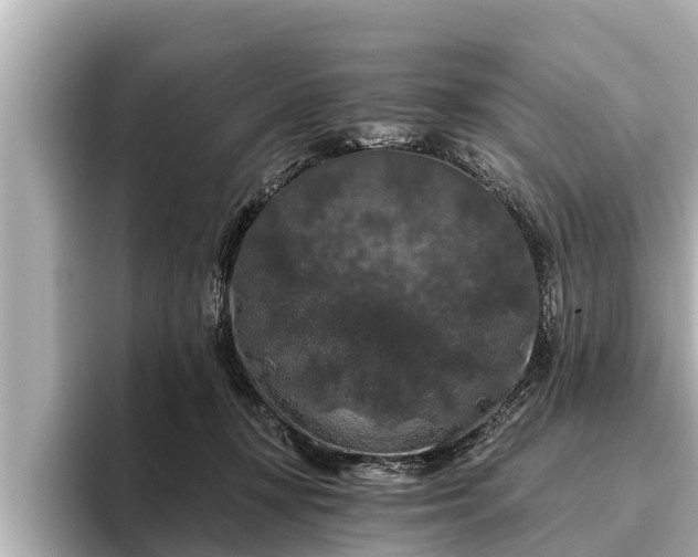 X0000096410367200801311357