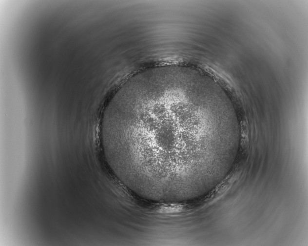 X0000096410369200801311357