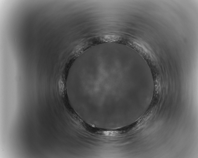 X0000096410371200801311357