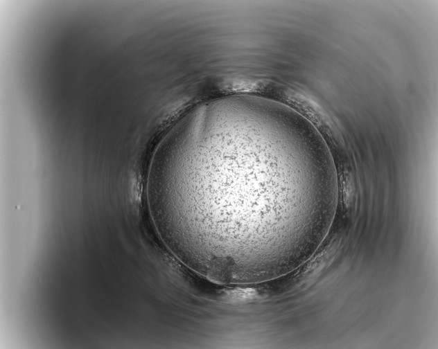 X0000096410374200801311357