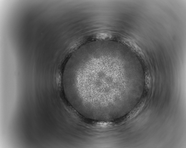 X0000096410375200801311357