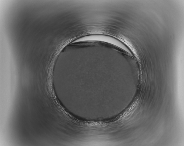X0000096410385200801311356