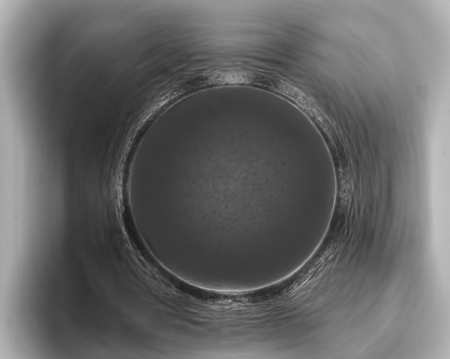 X0000096410386200801311356
