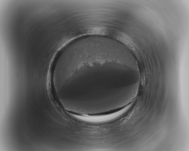 X0000096410388200801311356