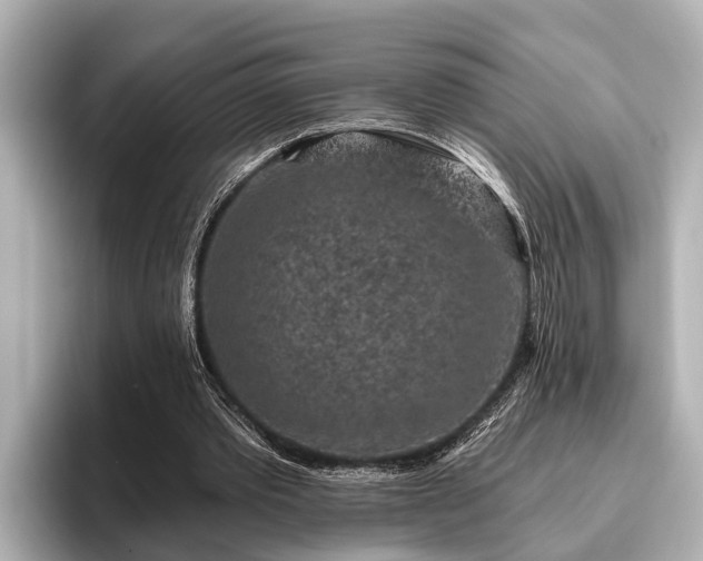X0000096410389200801311356