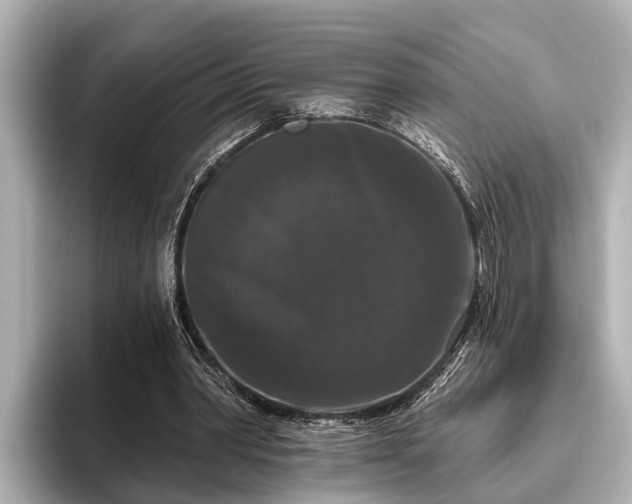 X0000096410390200801311356