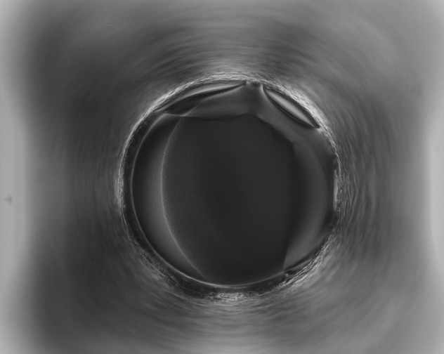 X0000096410391200801311356