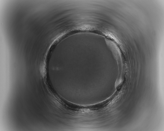 X0000096410392200801311356