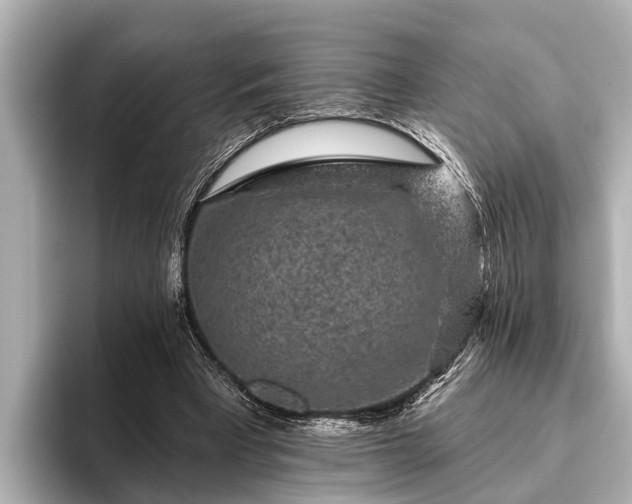 X0000096410393200801311356