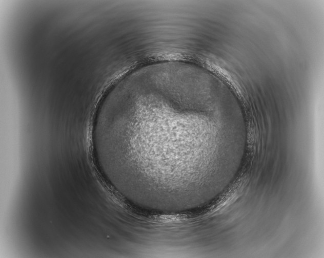 X0000096410394200801311356