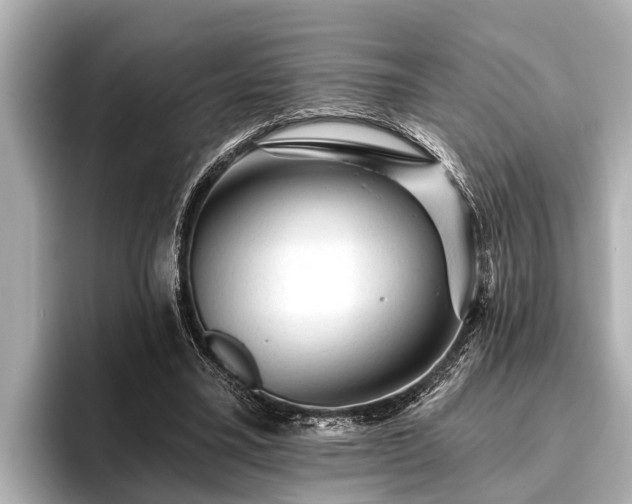 X0000096410395200801311356