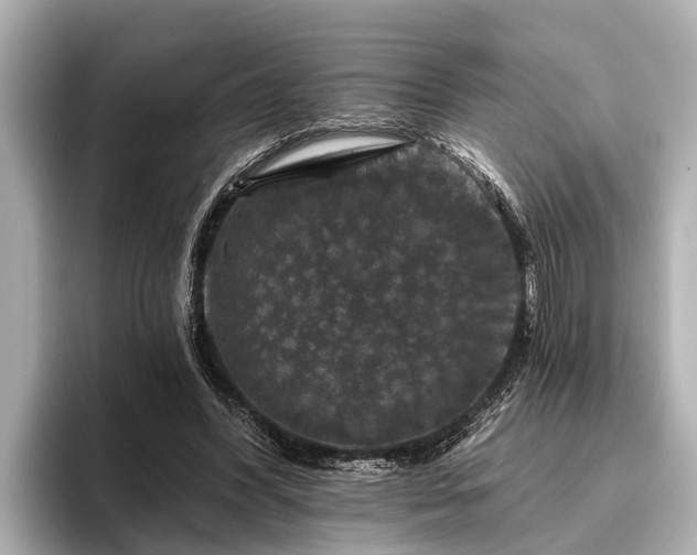 X0000096410396200801311356