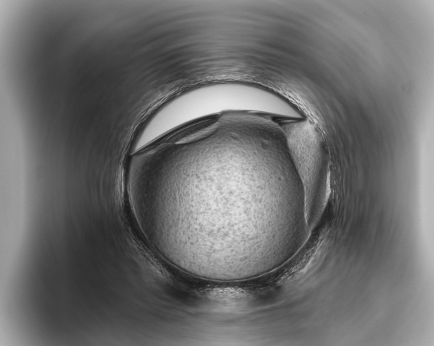 X0000096410397200801311356