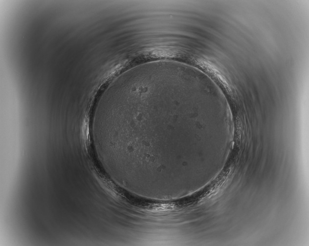 X0000096410398200801311356