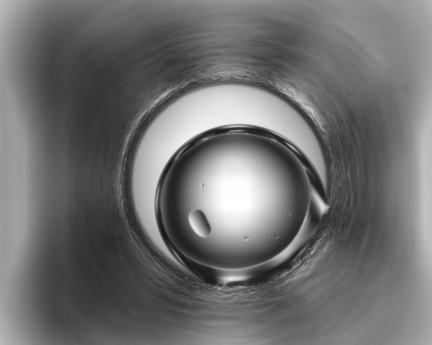 X0000096410399200801311356
