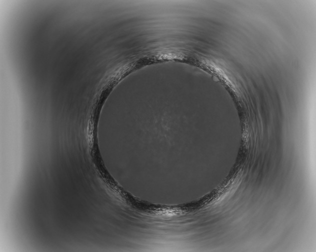 X0000096410402200801311356