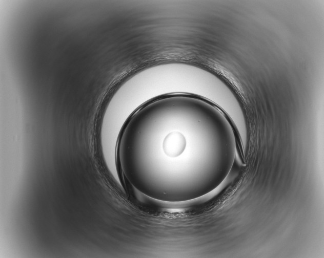 X0000096410403200801311356