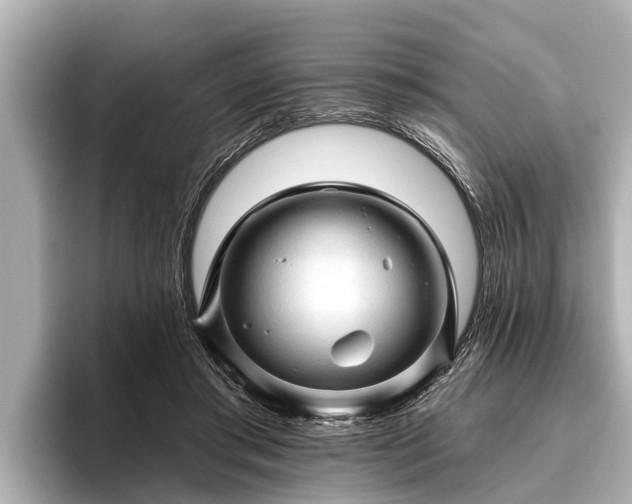 X0000096410405200801311356