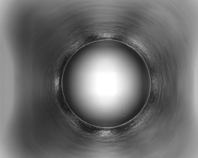 X0000096410406200801311356