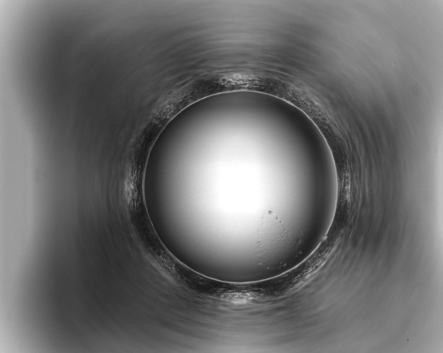 X0000096410408200801311356