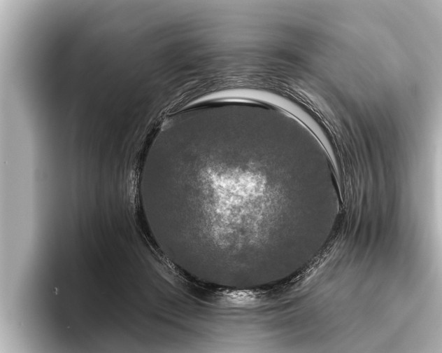 X0000096410409200801311356