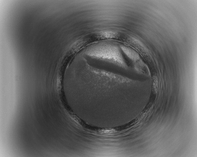 X0000096410410200801311356
