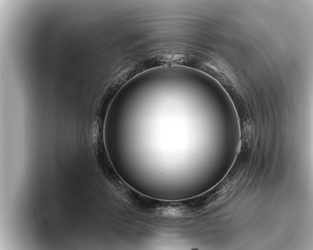 X0000096410412200801311356