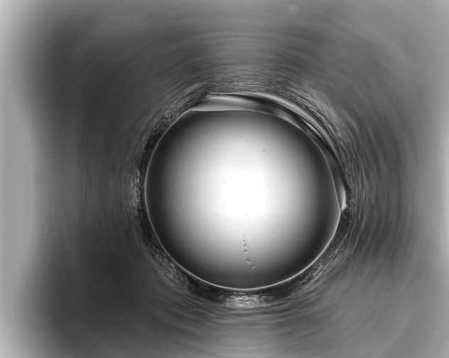X0000096410413200801311356