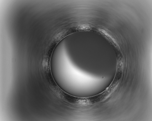 X0000096410415200801311356