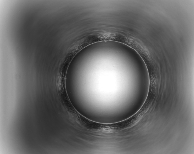 X0000096410416200801311356