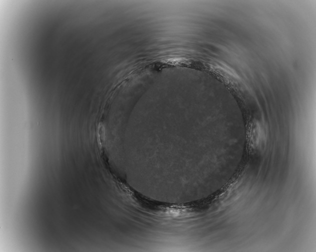X0000096410420200801311356