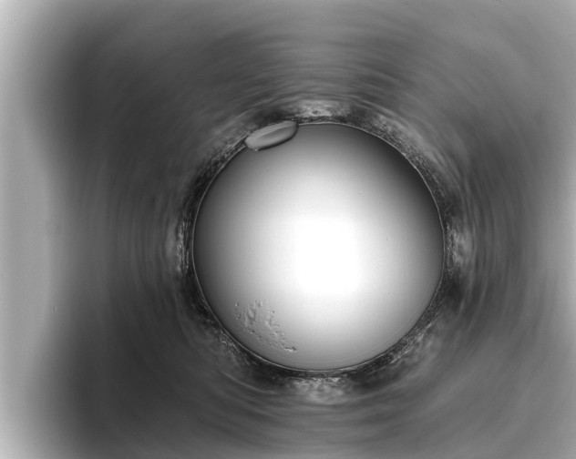 X0000096410422200801311356