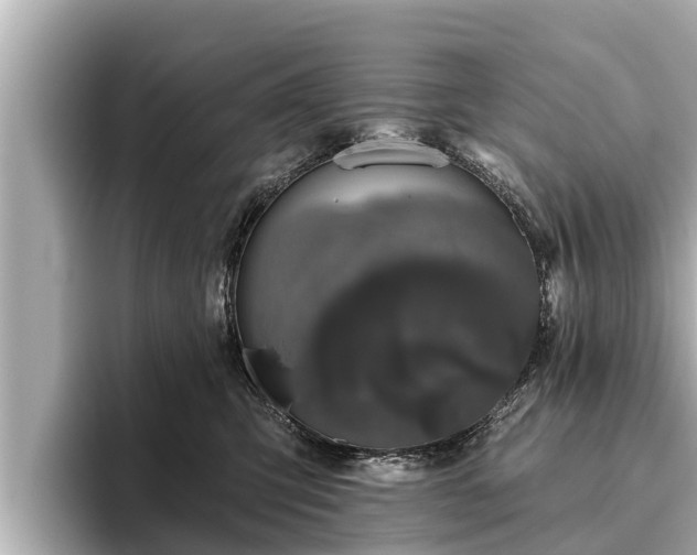 X0000096410423200801311356