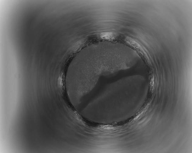 X0000096410424200801311356