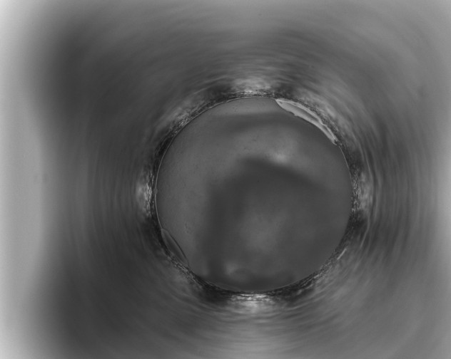 X0000096410427200801311356