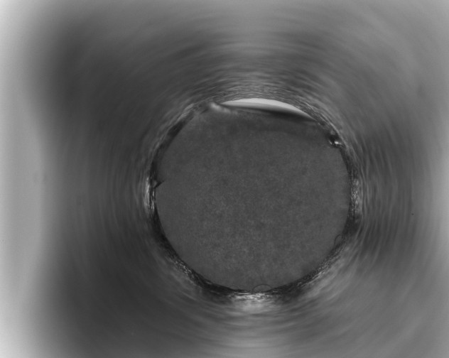 X0000096410428200801311356