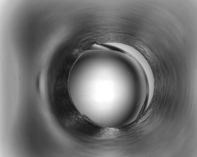 X0000096410429200801311356