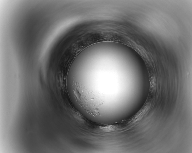 X0000096410430200801311356