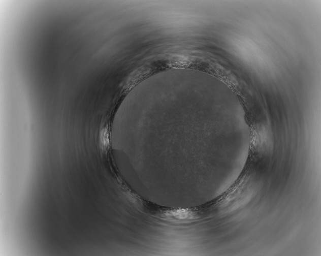 X0000096410431200801311356