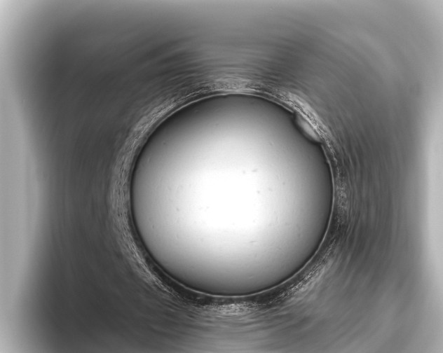 X0000096410433200801311355
