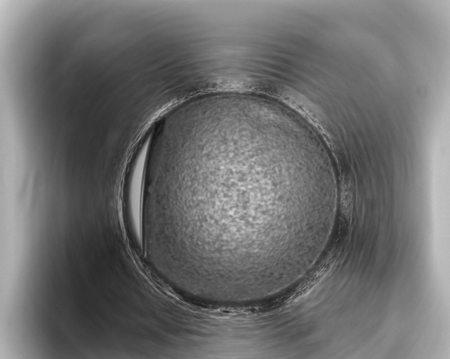 X0000096410434200801311355