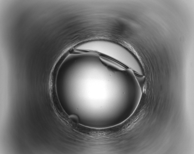 X0000096410435200801311355