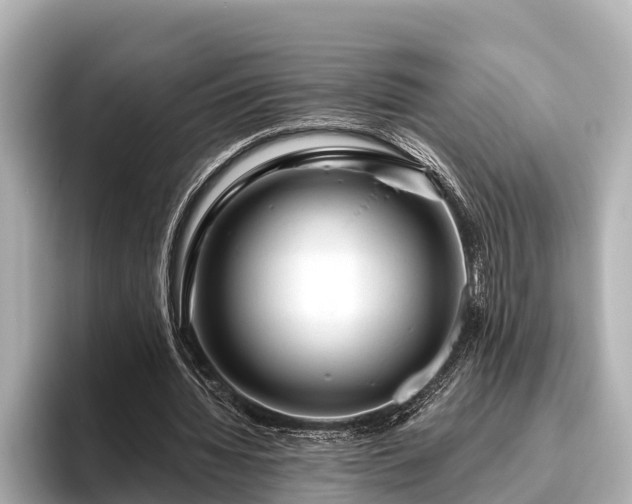 X0000096410436200801311355