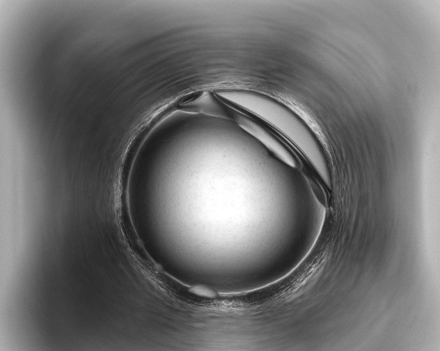 X0000096410437200801311355