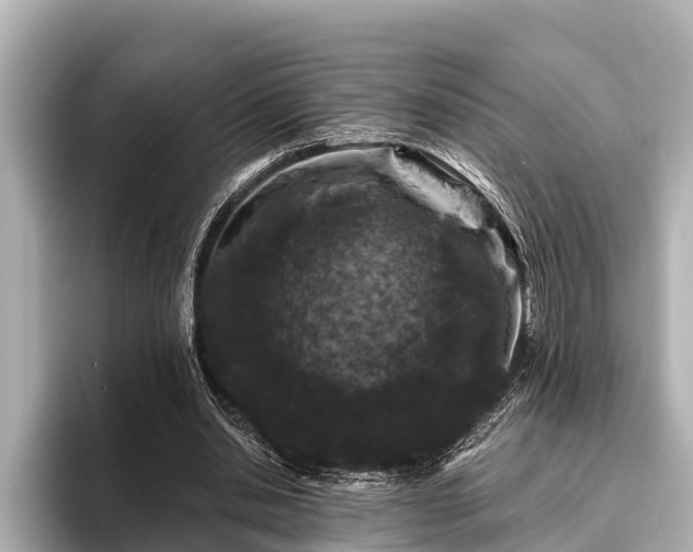 X0000096410438200801311355