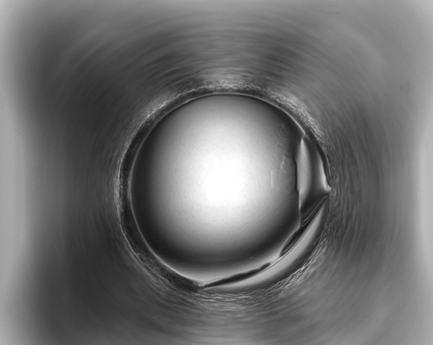 X0000096410439200801311355