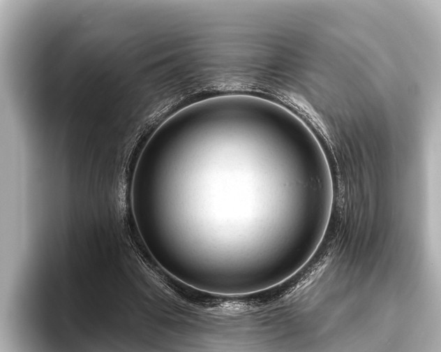 X0000096410441200801311355