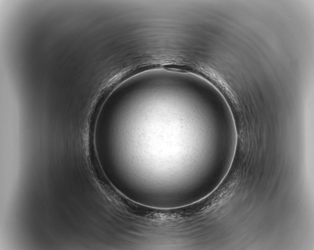 X0000096410442200801311355